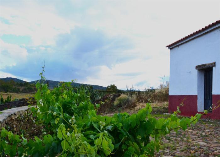 Casa Rural El Abuelo Alonso ラ・コドセラ エクステリア 写真